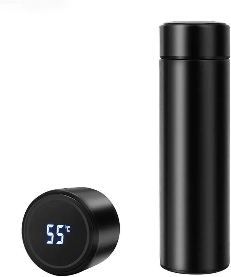 Temperature Water Bottle